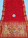 Double Pallu Paithani - 100 % Pure Silk Handloom Saree DPP1 A11