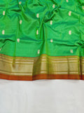 Double Pallu Paithani - 100 % Pure Silk Handloom Saree DPP1 A74