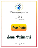 Fancy Pallu Paithani Saree - GM1 F