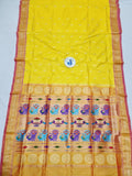 Tissue Padar Paithani - 100 % Pure Silk & Handmade saree