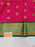 Shreekari Meena Paithani saree- SK2 EE