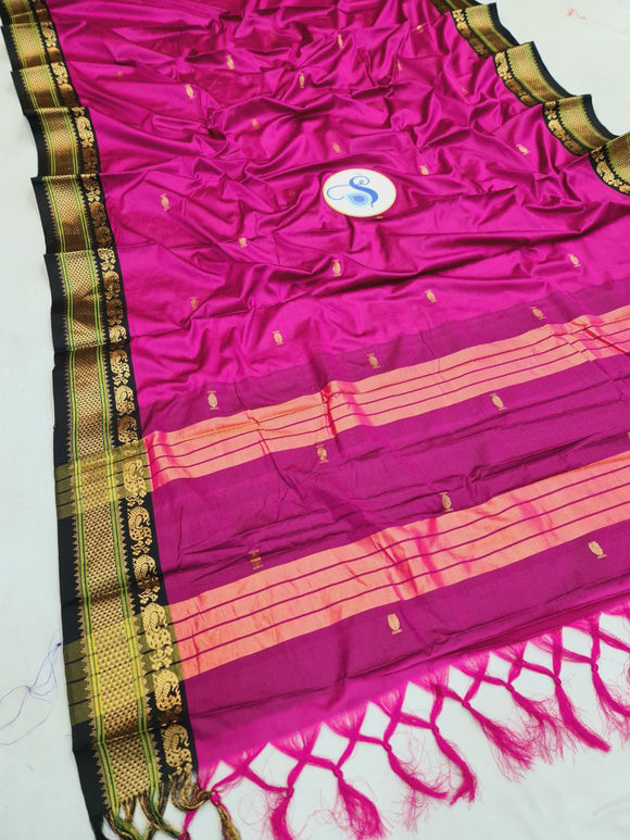 Pooja Sico Saree - Golden Border