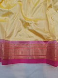 Double Pallu Paithani - 100 % Pure Silk Handloom Saree DPP1 A53