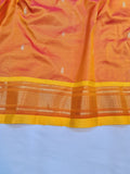 Double Pallu Paithani - 100 % Pure Silk Handloom Saree DPP1 A84