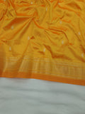 Double Pallu Paithani - 100 % Pure Silk Handloom Saree DPP1 A95