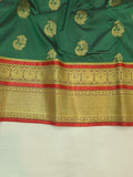 Pavan Gatti Paithani saree- PC2 E