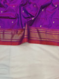 Double Pallu Paithani - 100 % Pure Silk Handloom Saree DPP1 A109