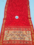Double Pallu Paithani - 100 % Pure Silk Handloom Saree DPP1 A82