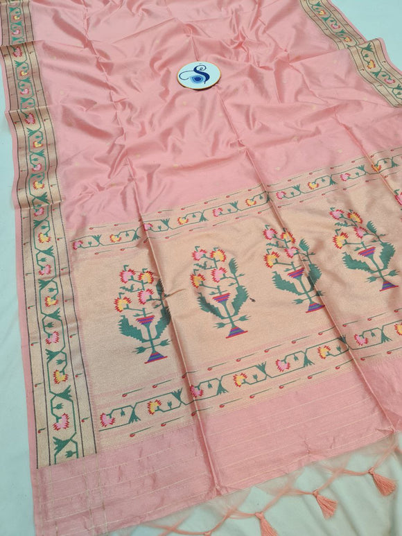 Aswali Art Raw Silk Paithani Saree- MB20 C