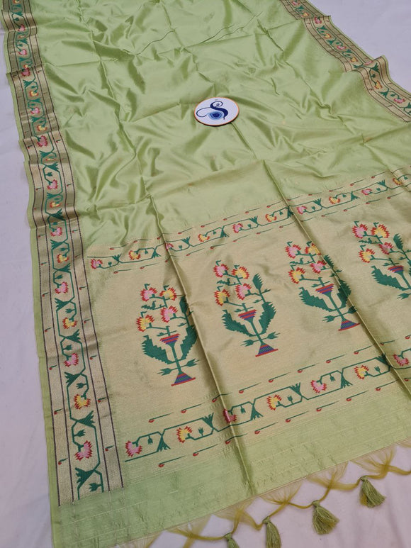 Aswali Art Raw Silk Paithani Saree- MB20 F