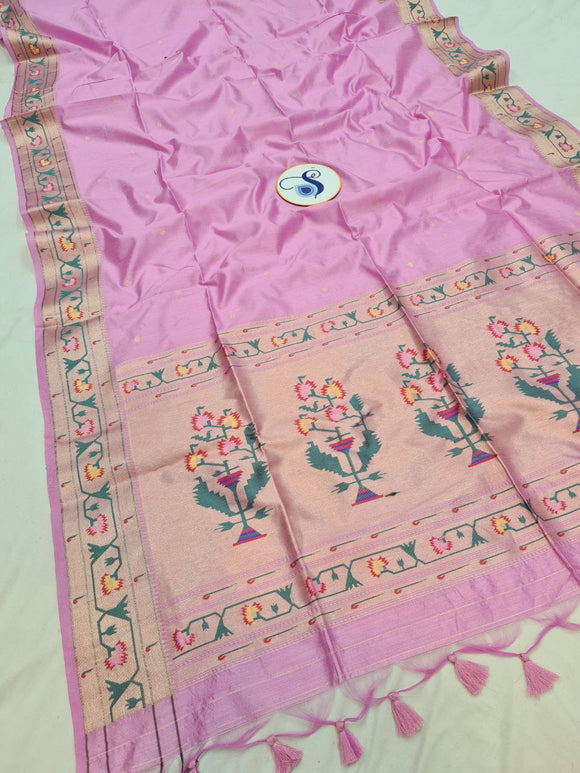 Aswali Art Raw Silk Paithani Saree- MB20 G