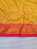 Double Pallu Paithani - 100 % Pure Silk Handloom Saree DPP1 A113