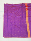 Rajasi Paithani Saree- BV8 A