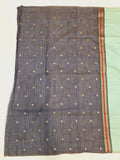 Ranjana Tussar Paithani Saree- BV2 B