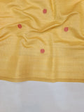 Ranjana Tussar Paithani Saree- BV2 C