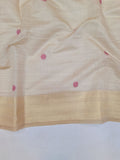 Ranjana Tussar Paithani Saree- BV2 D