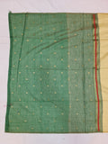 Ranjana Tussar Paithani Saree- BV2 F