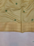 Ranjana Tussar Paithani Saree- BV2 F