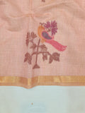 Kalash Linen Paithani Saree- BV8 C