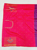 Kalanjani Semi Paithani Saree- BV7 D