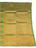 Chandra Paithani Saree- TE1 E