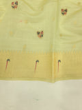 Sunaina Cotton Paithani Saree- TE3 C