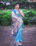 Chex Muniya Semi Paithani MB6 B