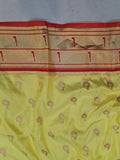 Double Muniya Paithani Dupatta NB36 D